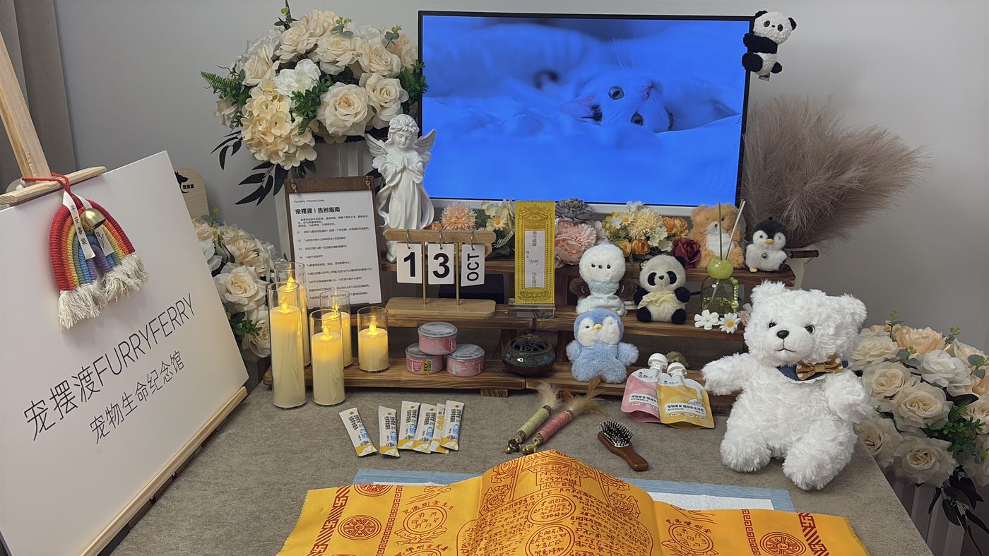 南宁宠物告别厅布置：如何给绿城家属一个体面的告别